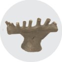 DentalLab_125x1256