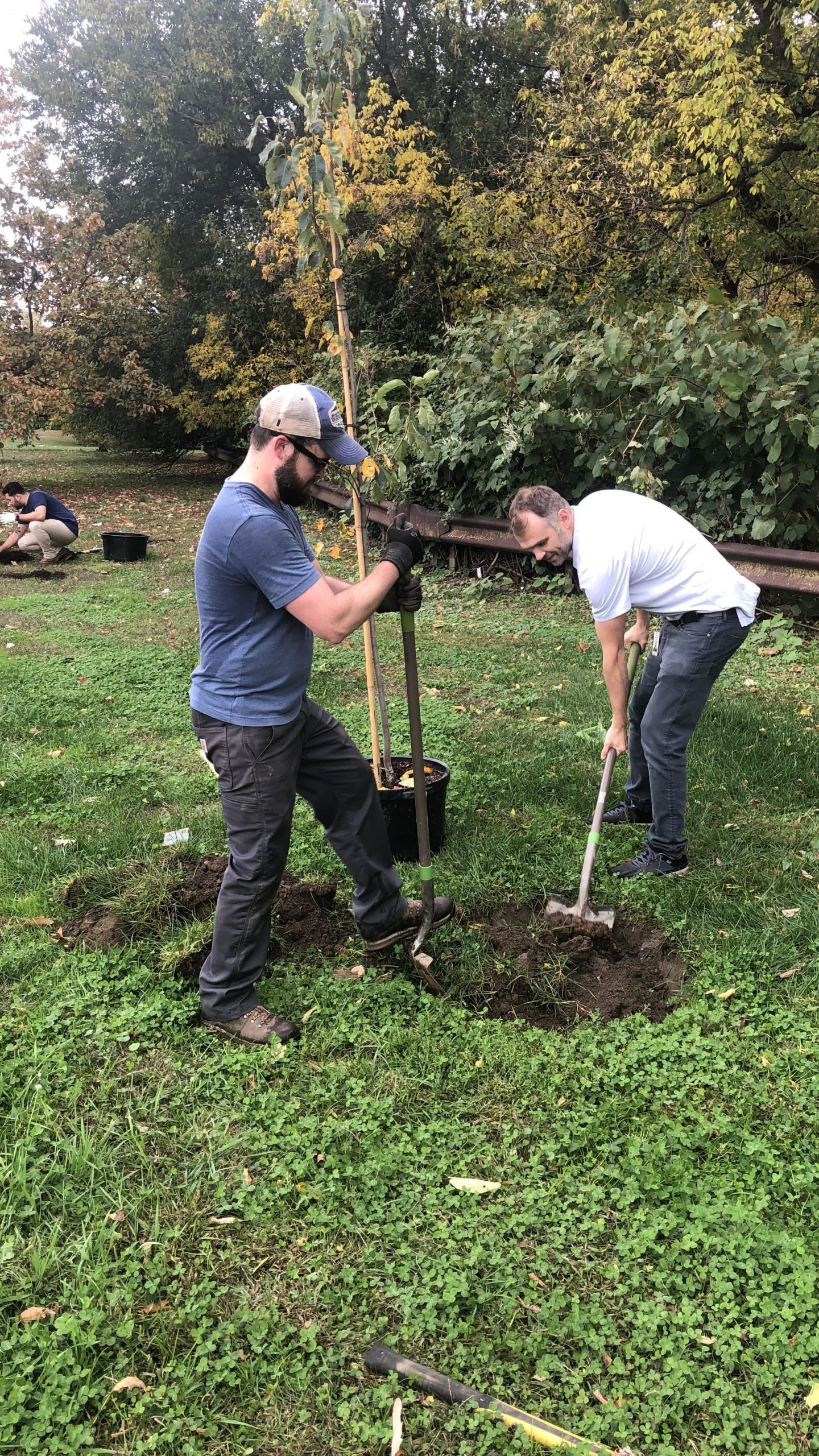 Garfield Refining staff planting trees as a sustainability initiative.