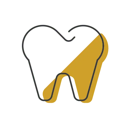 a sketched molar tooth, colored half in white and gold diagonally
