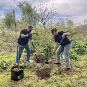 Two Garfield Refining employees plant trees in Tacony Creek Park in Philadelphia, PA
