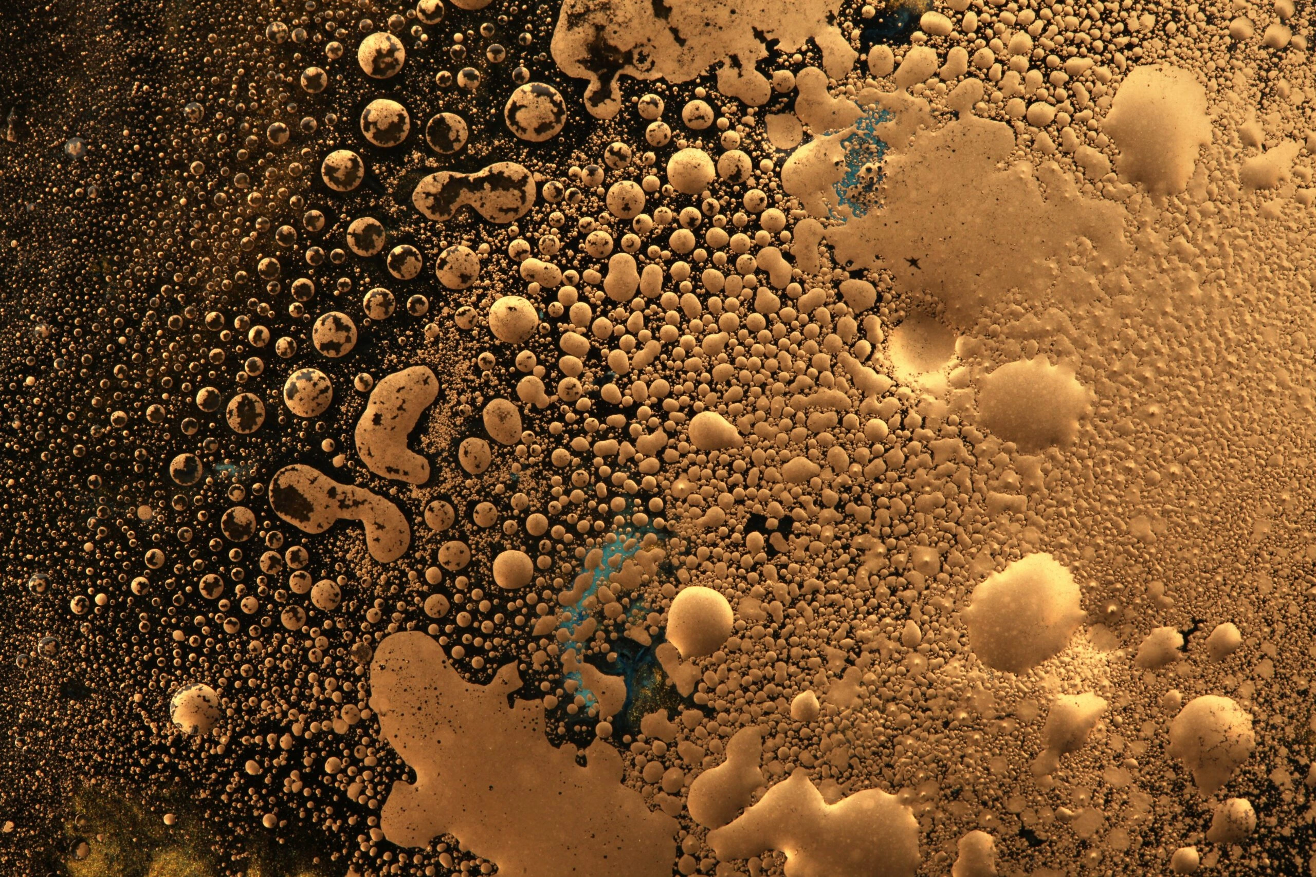 Macro black and gold Abstract bubble drop texture background.