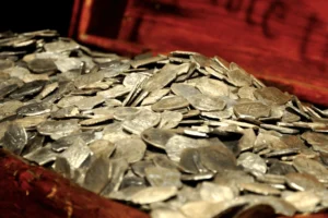 Pieces of eight gold coins piled in a treasure chest from the Whydah Gally shipwreck