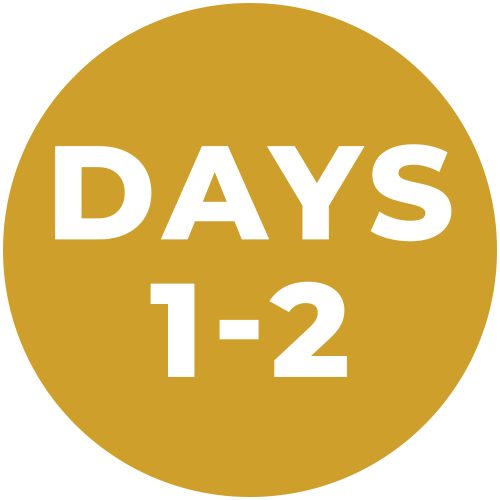 Days 1-2: Assay and processing