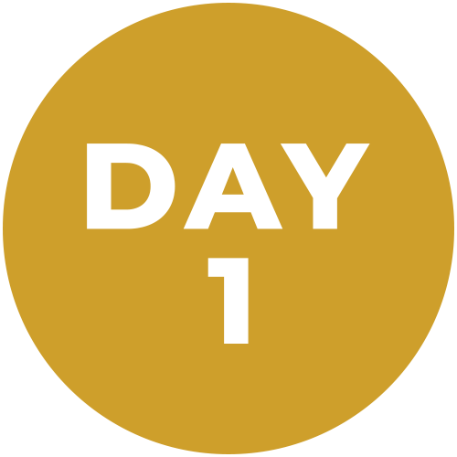 Day 1: Arrival confirmation