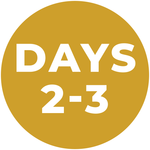 Days 2-3: Payment